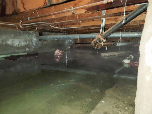 Best Flooded house restoration  in Hooks, TX