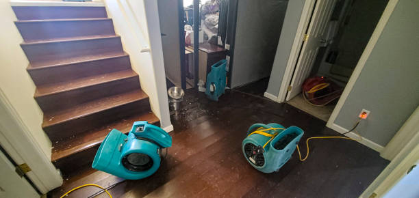 Best Sewage cleanup and water damage restoration  in Hooks, TX