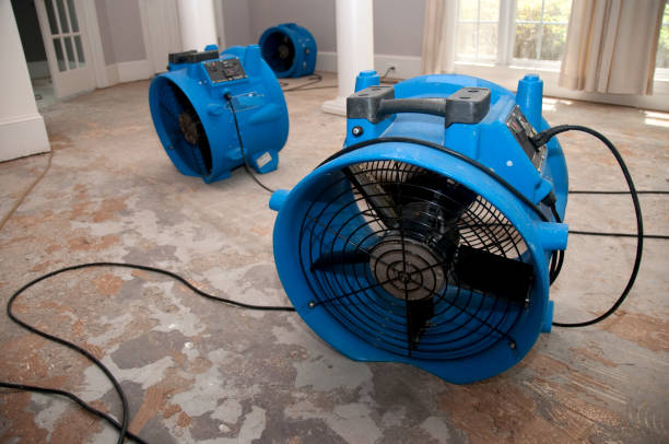 Best Local water damage restoration  in Hooks, TX