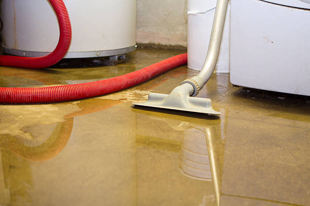 Water damage restoration insurance claims in TX