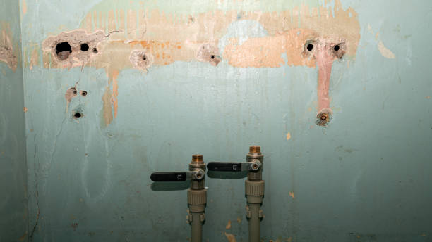 Best Emergency water damage restoration  in Hooks, TX